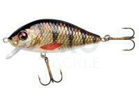 Hard lure Jaxon Holo Select Karaś Nature 3D 7cm 13g - OB