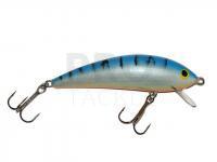 Lure Gloog Kalipso 80SR - TB