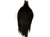 Keough Tyer`s Grade Cape - Black