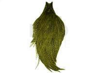 Keough Tyer`s Grade Cape - Grizzly Dyed Olive