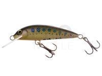 Lure Wob-Art Kiełb (Gobio gobio) 5cm 2.5g F DR - 06