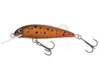 Lure Wob-Art Kiełb (Gobio gobio) 6.5cm 5g F DR - 32