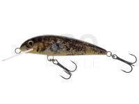 Lure Wob-Art Kiełb (Gobio gobio) 6.5cm 5g F DR - 39