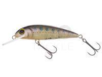 Lure Wob-Art Kiełb (Gobio) XL 7.5cm 9g FDR - 06