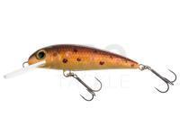 Lure Wob-Art Kiełb (Gobio) XL 7.5cm 9g FDR - 53