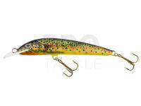 Lure Krakusek No. 1 - 9.5cm Floating - TRNY