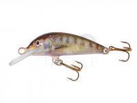 Lure Krakusek NR.1 7cm neutral - BB