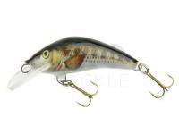 Lure Krakusek NR.2 3,5cm Length -  BG