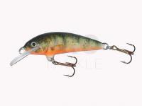 Lure Krakusek NR.6 4,5cm neutral - P