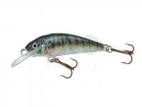 Lure Krakusek NR.6 4,5cm neutral - PP