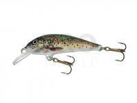 Lure Krakusek NR.6 4,5cm neutral - TRN