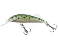 Lure Wob-Art Hard Lure Wob-Art Lipień (Grayling) 5cm 2.5g F DR - 21