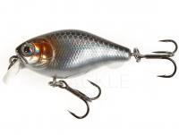 Hard Lure Lucky John Chubby 4F - 017