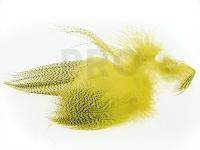 Mallard Barred Flank 020 - Mayfly Yellow