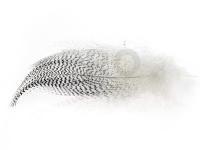 Mallard Barred Flank 199 - Natural