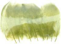 Mallard Duck Drake Grey Flank Medium 4-5cm - Olive / Black