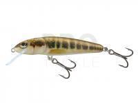 Hard Lure Salmo Minnow M6F 6cm - Minnow