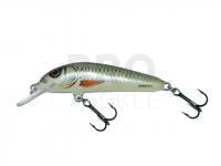 Lure Salmo Minnow M7F - Dace