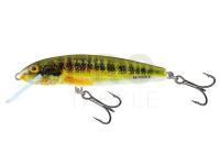 Lure Salmo Minnow M7F - Holo Real Minnow