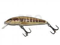 Lure Salmo Minnow M7F - Minnow