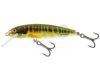 Lure Salmo Minnow M7S - Holo Real Minnow