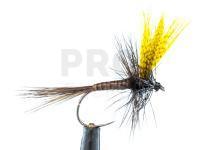 Dry fly Gordon Quill BL - #16