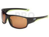 Polarized Sunglasses Jaxon - X67AM