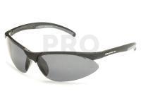 Polarized Sunglasses Solano FL 20049B