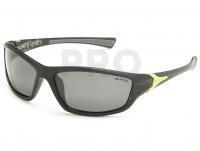 Polarized Sunglasses Solano FL 20056B