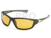 Polarized Sunglasses Solano FL 20056C