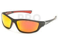 Polarized Sunglasses Solano FL 20056E