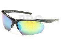 Polarized Sunglasses Solano FL 20058D