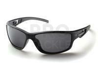 Polarised Sunglasses Solano FL 20067A
