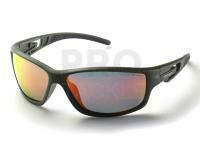 Polarised Sunglasses Solano FL 20067C