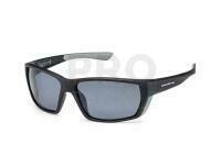 Solano Polarized Sunglasses FL 20077 - A