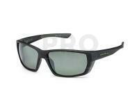 Solano Polarized Sunglasses FL 20077 - C