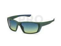 Solano Polarized Sunglasses FL 20077 - D