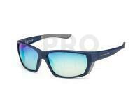 Solano Polarized Sunglasses FL 20077 - E