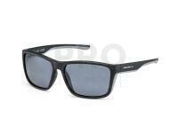 Solano Polarized Sunglasses FL 20078 - B