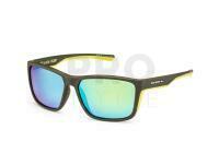 Solano Polarized Sunglasses FL 20078 - C
