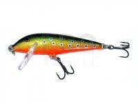 Lure Rapala Original Floater 7cm - Brook Trout