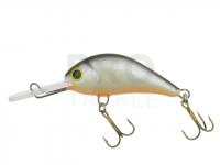 Hard bait Gloog Parys 40NF - NP1