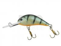 Hard bait Gloog Parys 40NF - P