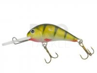 Hard bait Gloog Parys 40NF - PN