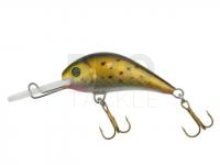 Hard bait Gloog Parys 40NF - STS