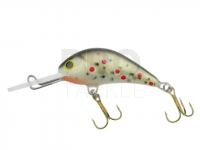 Hard bait Gloog Parys 40NF - TN1