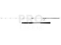 Rod Penn Battalion III Jigging Spinning 1.83m max 210g