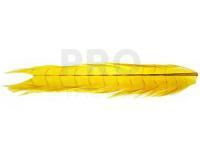 Pheasant Tail - Fluo Yellow