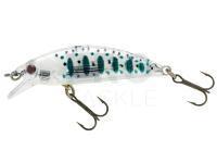 Lure Sakura Phoxy Minnow HW 50S - T09 CASPER TROUT