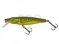 Hard Lure Salmo Pike PE16F - Hot Pike